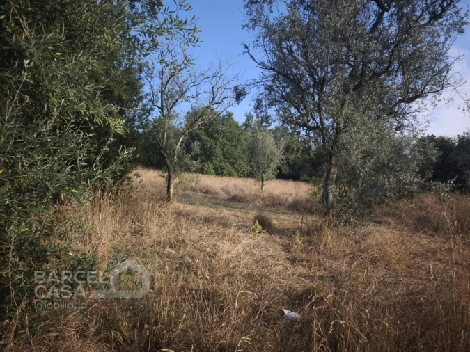Terreno para Venda em Adães Foto 8