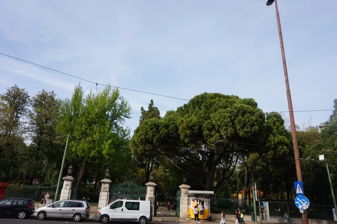 Apartamento T1 para Venda em Estrela Foto 10