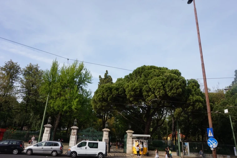 Apartamento T1 para Venda em Estrela Foto 10