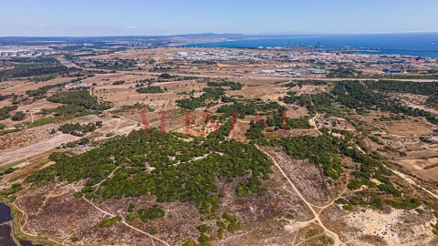 Terreno para Venda em Sines