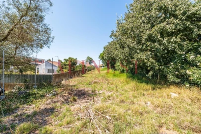 Terreno para Venda em São Domingos de Rana