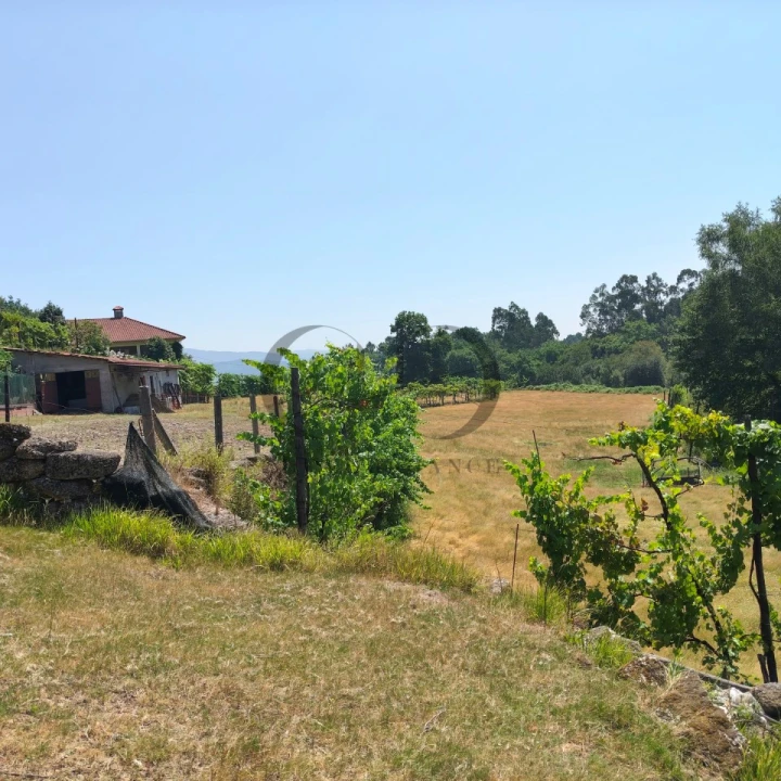 Quinta T3 para Venda em Vieira do Minho Foto 38