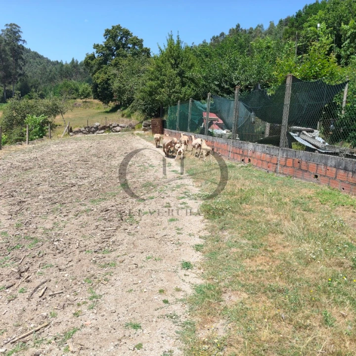 Quinta T3 para Venda em Vieira do Minho Foto 42