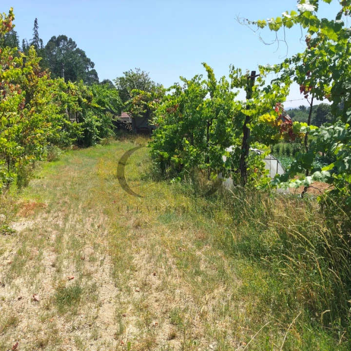 Quinta T3 para Venda em Vieira do Minho Foto 53