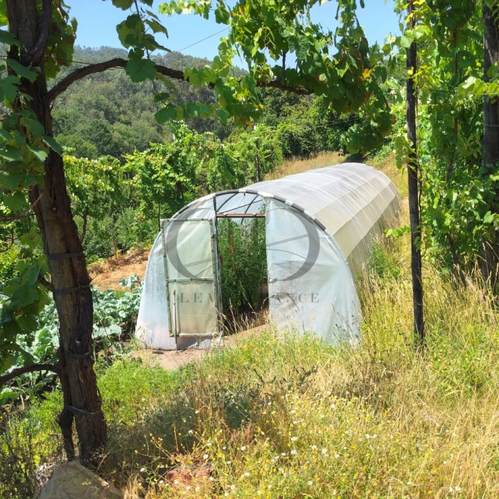 Quinta T3 para Venda em Vieira do Minho Foto 55