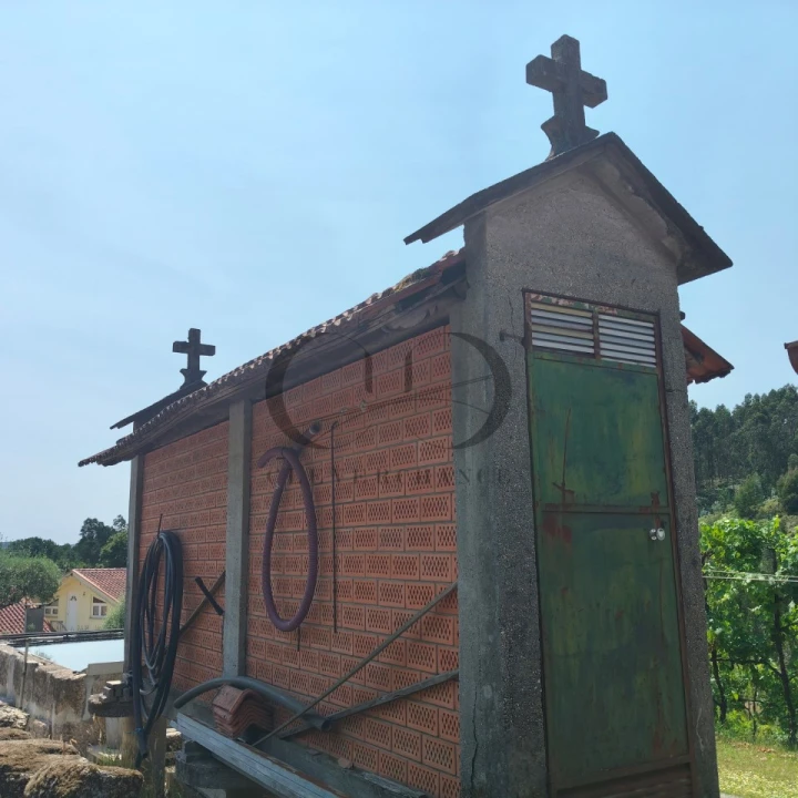 Quinta T3 para Venda em Vieira do Minho Foto 70
