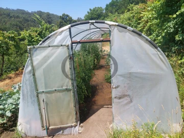 Quinta T3 para Venda em Vieira do Minho