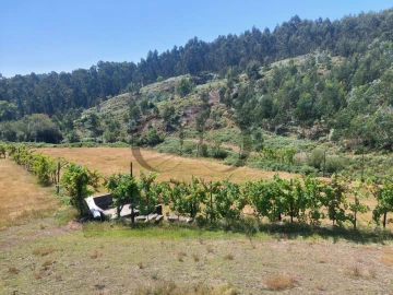 Quinta T3 para Venda em Vieira do Minho