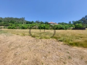 Quinta T3 para Venda em Vieira do Minho