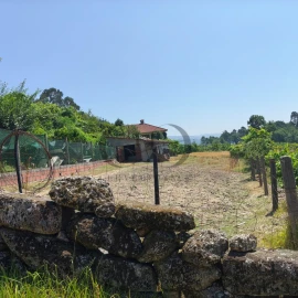 Quinta T3 para Venda em Vieira do Minho