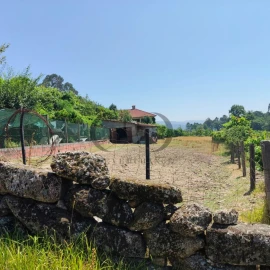 Quinta T3 para Venda em Vieira do Minho