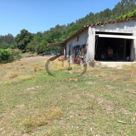 Quinta T3 para Venda em Vieira do Minho