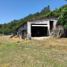 Quinta T3 para Venda em Vieira do Minho