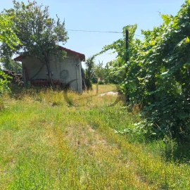 Quinta T3 para Venda em Vieira do Minho