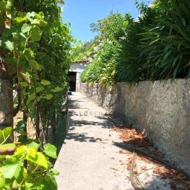Quinta T3 para Venda em Vieira do Minho