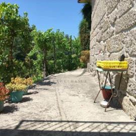 Quinta T3 para Venda em Vieira do Minho