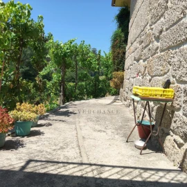 Quinta T3 para Venda em Vieira do Minho