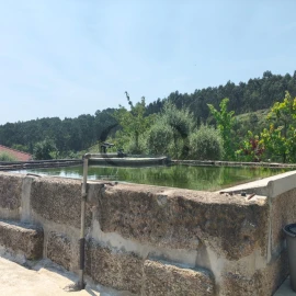 Quinta T3 para Venda em Vieira do Minho