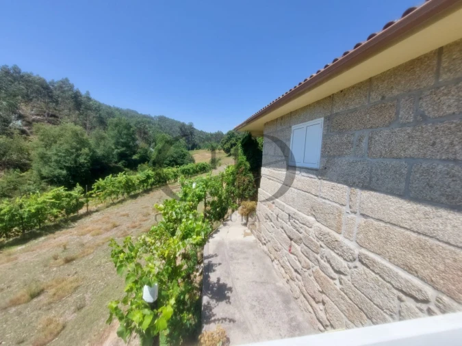 Quinta T3 para Venda em Vieira do Minho Foto 2