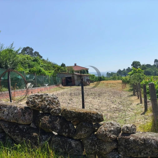 Quinta T3 para Venda em Vieira do Minho Foto 35