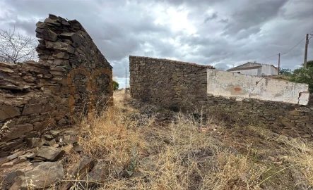 Quinta para Venda em Azinhal