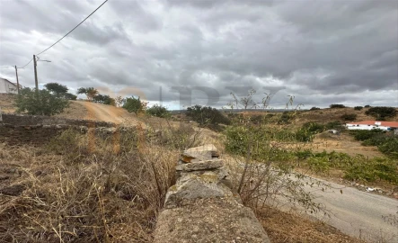 Quinta para Venda em Azinhal