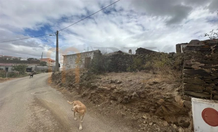 Quinta para Venda em Azinhal