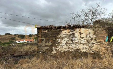 Quinta para Venda em Azinhal