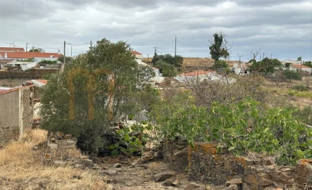 Quinta para Venda em Azinhal