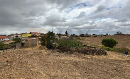 Quinta para Venda em Azinhal