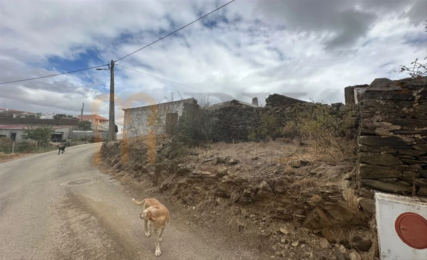 Quinta para Venda em Azinhal Foto 17
