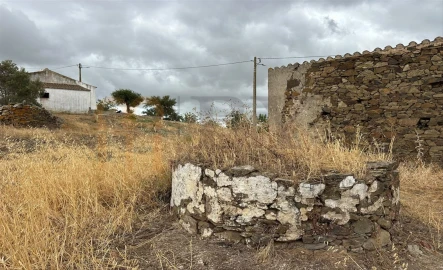 Quinta para Venda em Azinhal