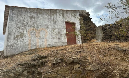 Quinta para Venda em Azinhal