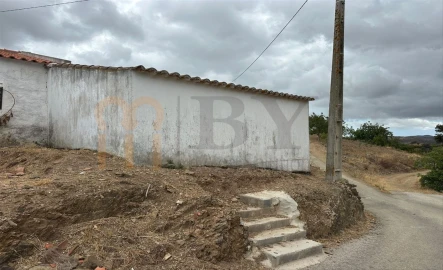 Quinta para Venda em Azinhal
