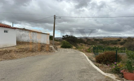 Quinta para Venda em Azinhal