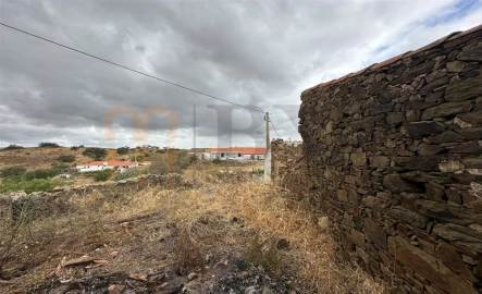 Quinta para Venda em Azinhal