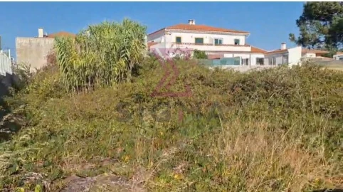 Terreno para Venda em Silveira