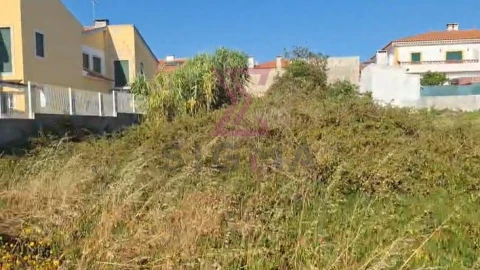 Terreno para Venda em Silveira