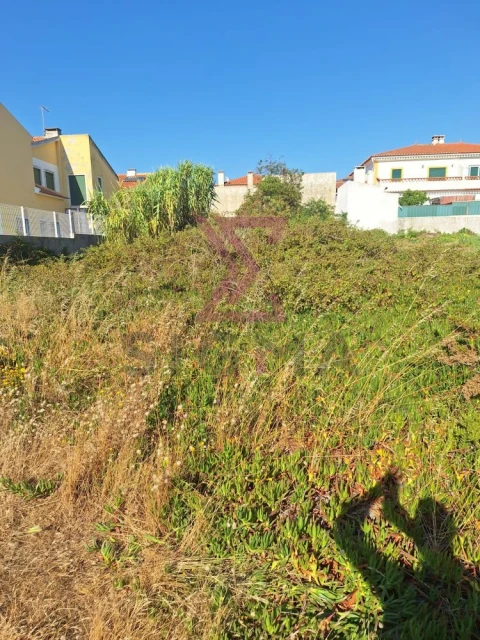 Terreno para Venda em Silveira
