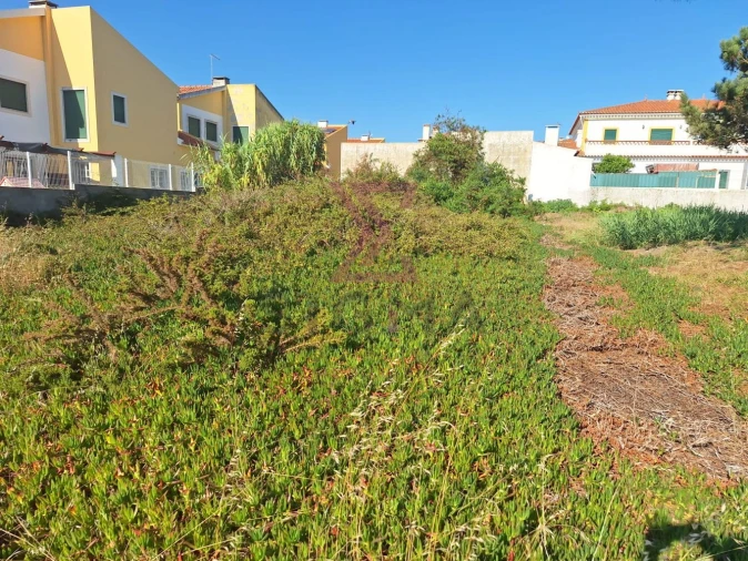 Terreno para Venda em Silveira Foto 6