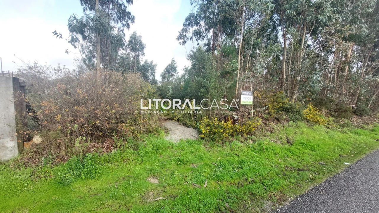 Terreno para Venda em Valongo do Vouga Foto 5