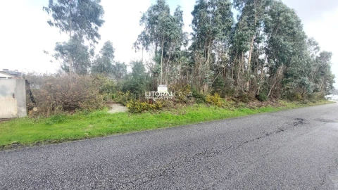 Terreno para Venda em Valongo do Vouga