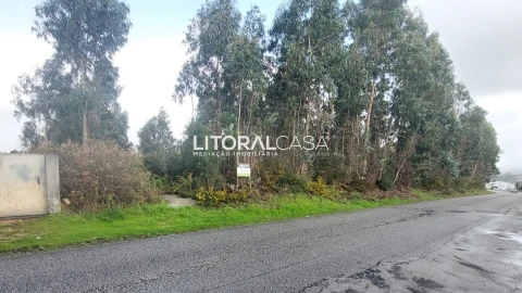 Terreno para Venda em Valongo do Vouga