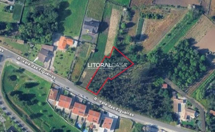 Terreno para Venda em Valongo do Vouga