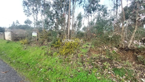 Terreno para Venda em Valongo do Vouga