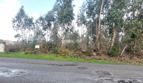 Terreno para Venda em Valongo do Vouga