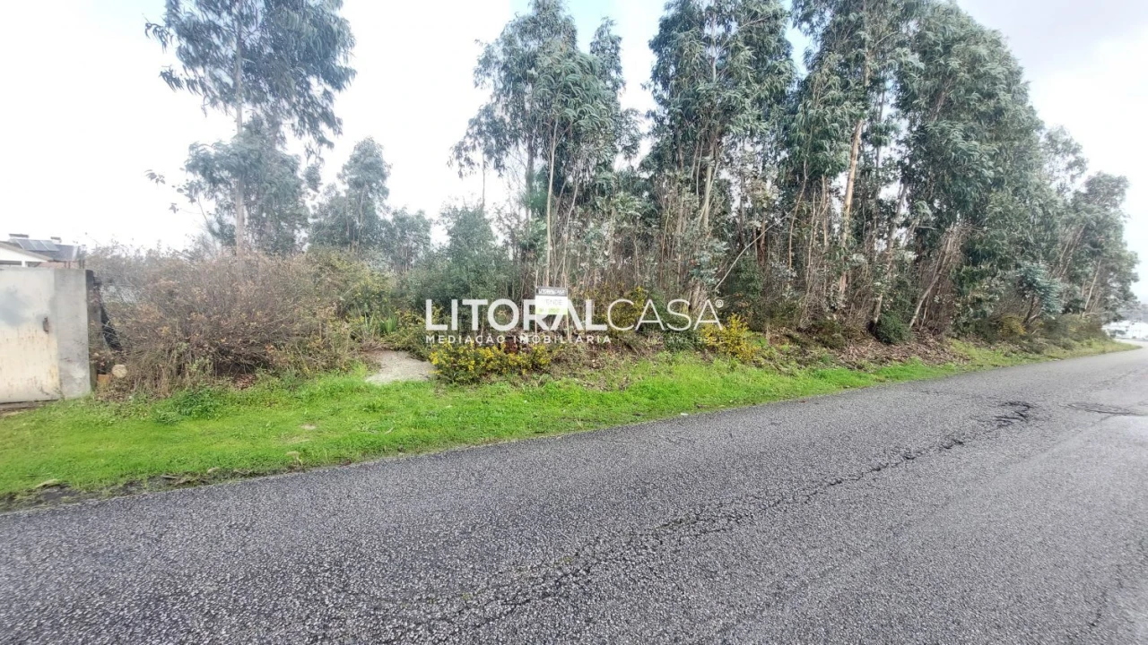 Terreno para Venda em Valongo do Vouga Foto 6