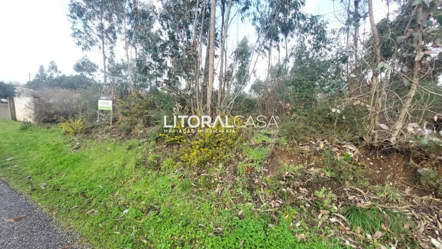 Terreno para Venda em Valongo do Vouga Foto 4