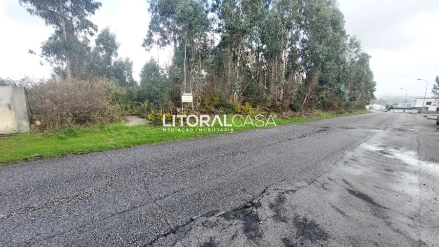 Terreno para Venda em Valongo do Vouga Foto 2