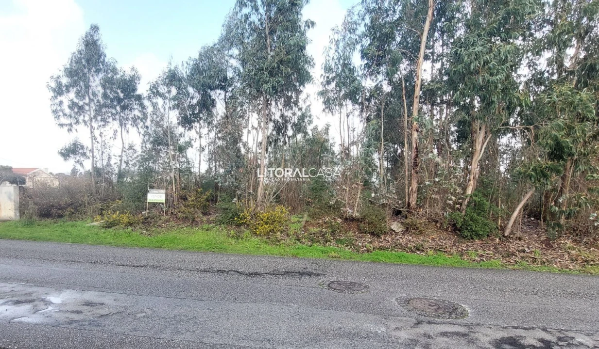 Terreno para Venda em Valongo do Vouga Foto 1